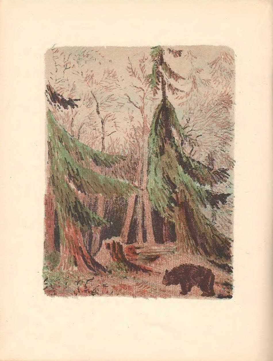 Конашевич Владимир Михайлович улицы