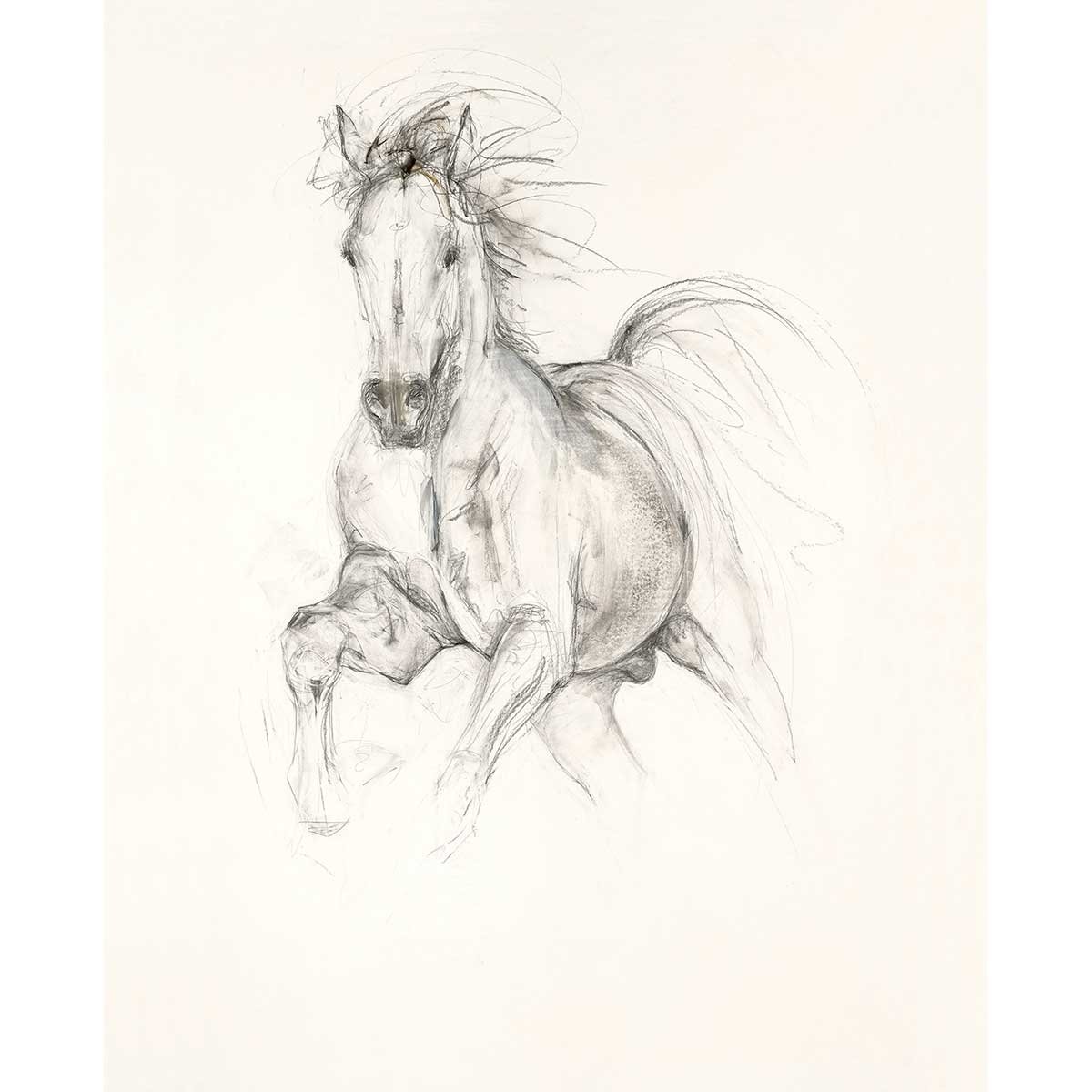 Лошадь Графика