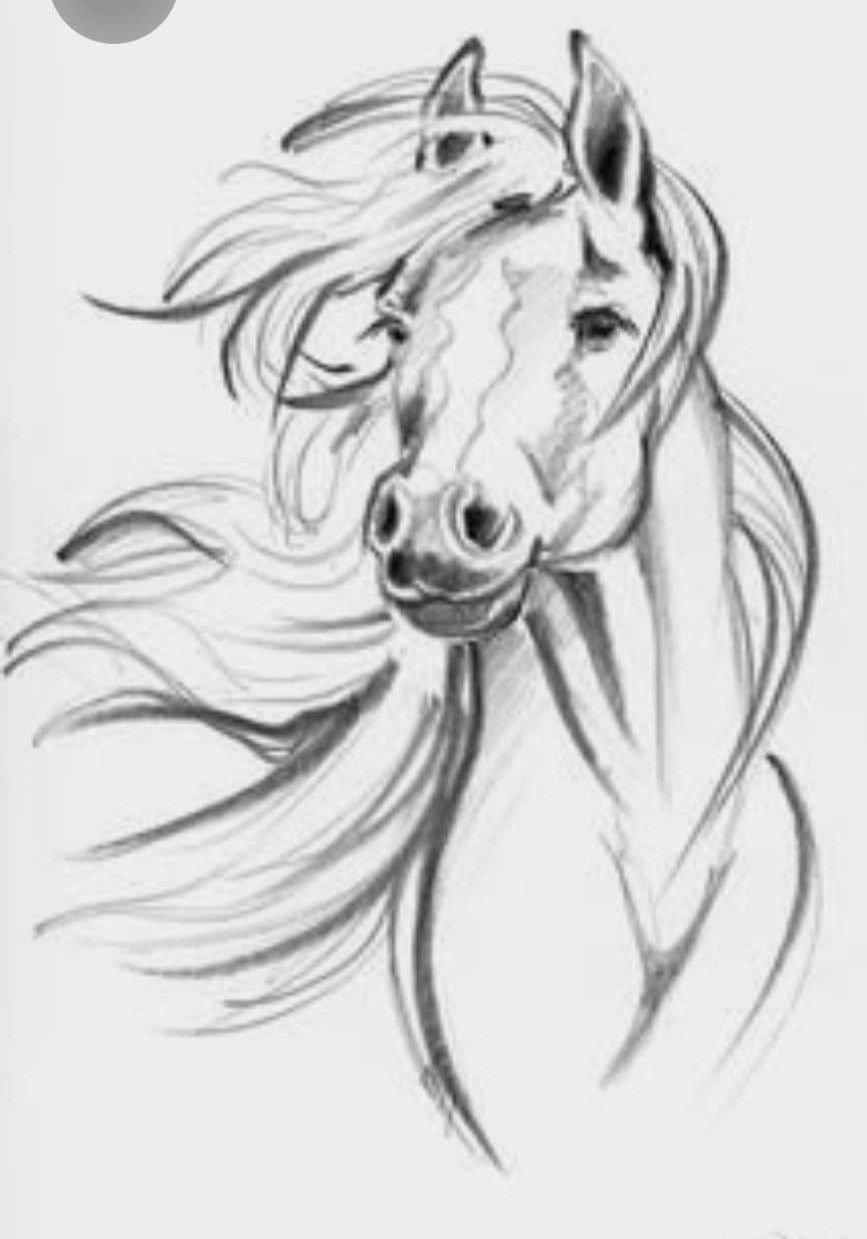 Боевой конь рисунок