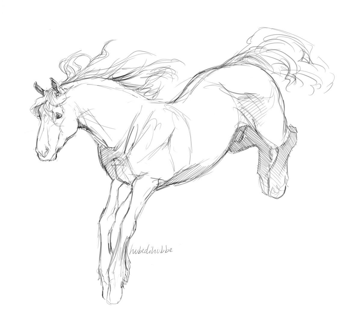 Лошадь референс