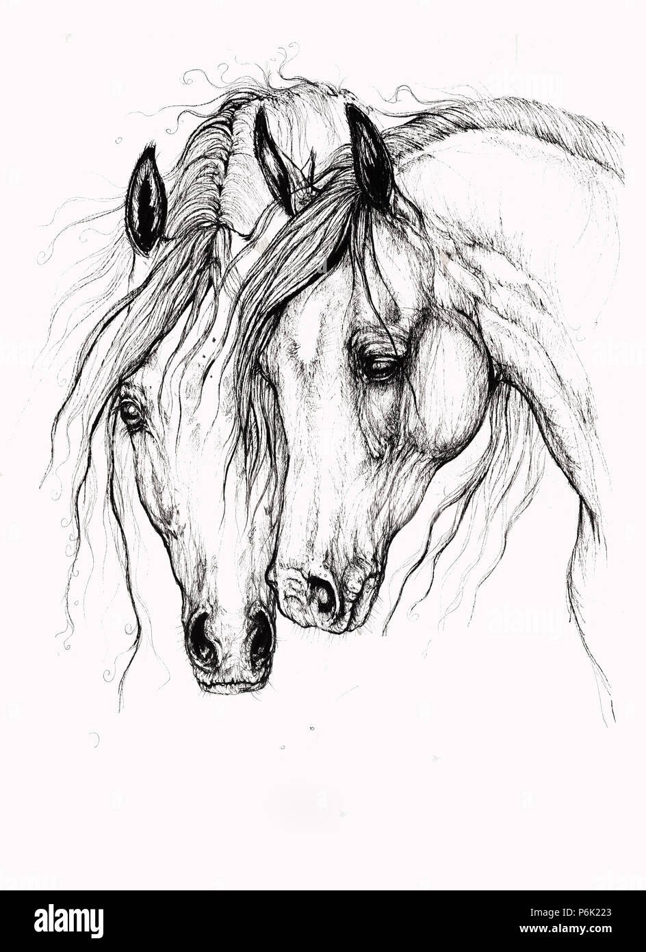 Реферанс лошади