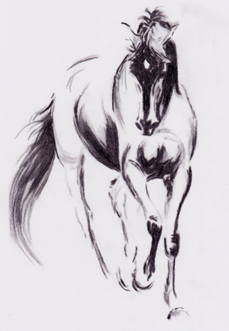 Референсы лошадей