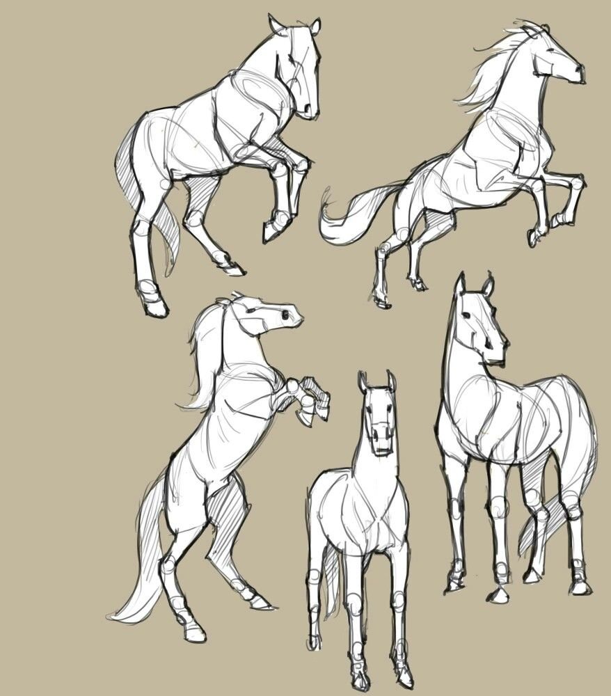 Винтажный рисунок коня