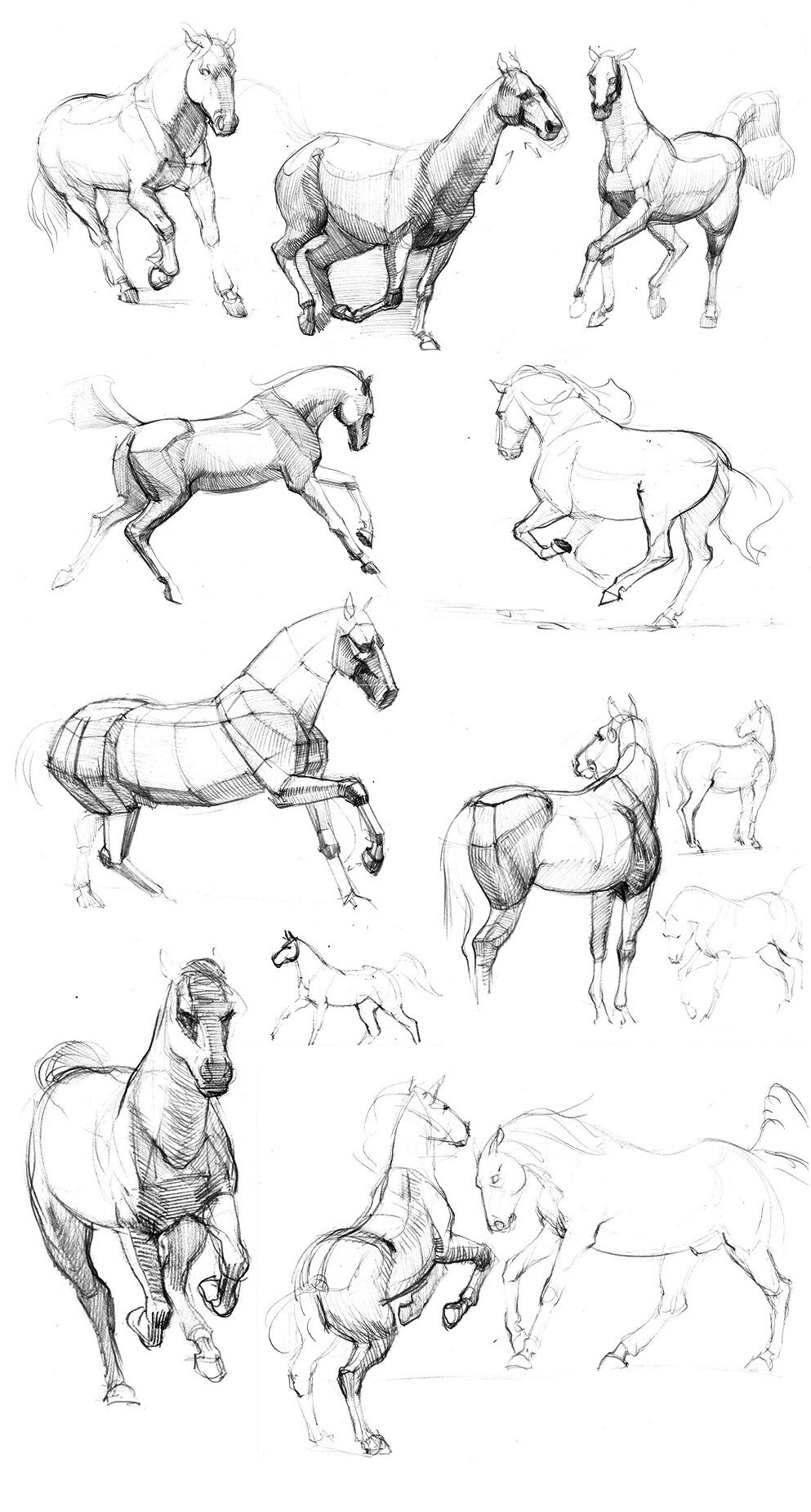 Серов Валентин Александрович анималист