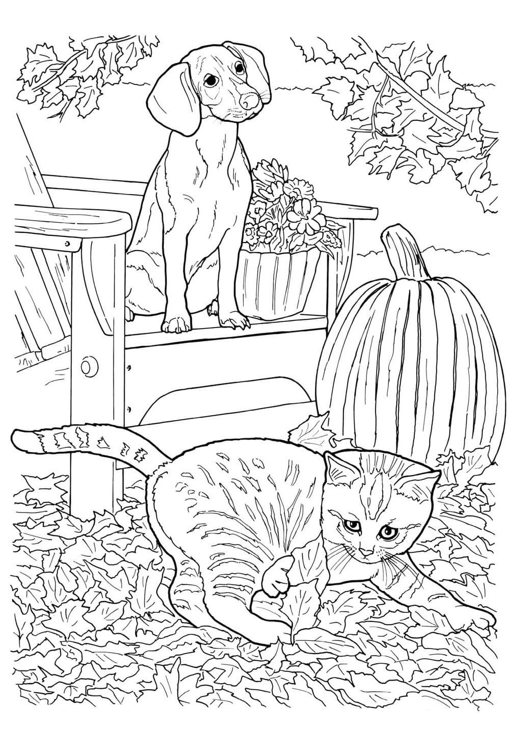 Раскраска кошечки собачки