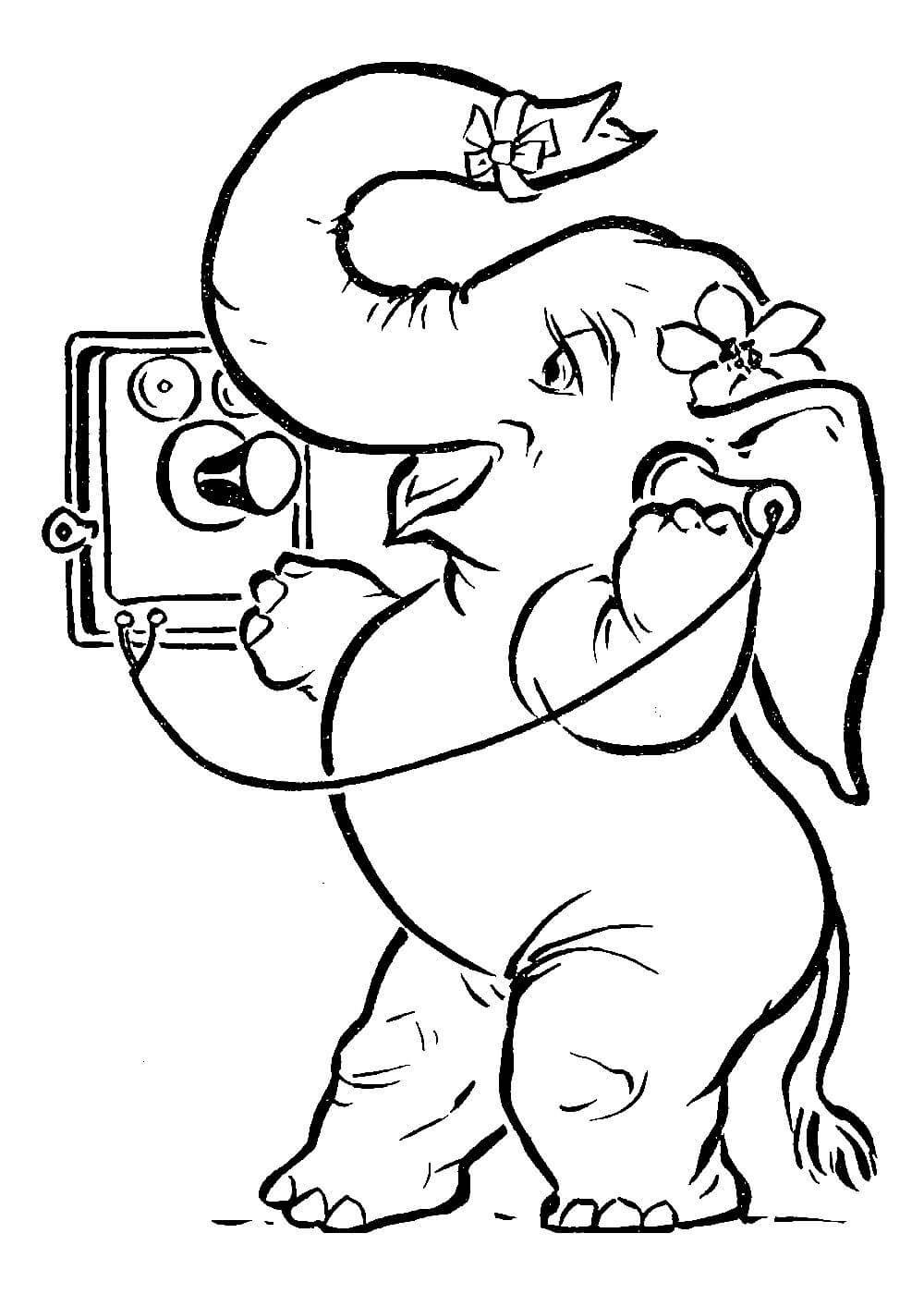 Раскраска охотничья собака