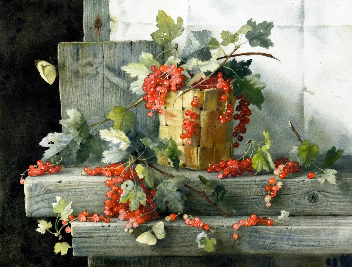Красная смородина акварель Елена Базанова