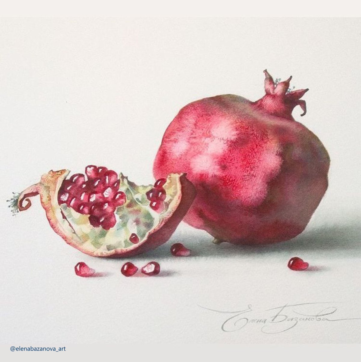 Акварель Базановой гранат