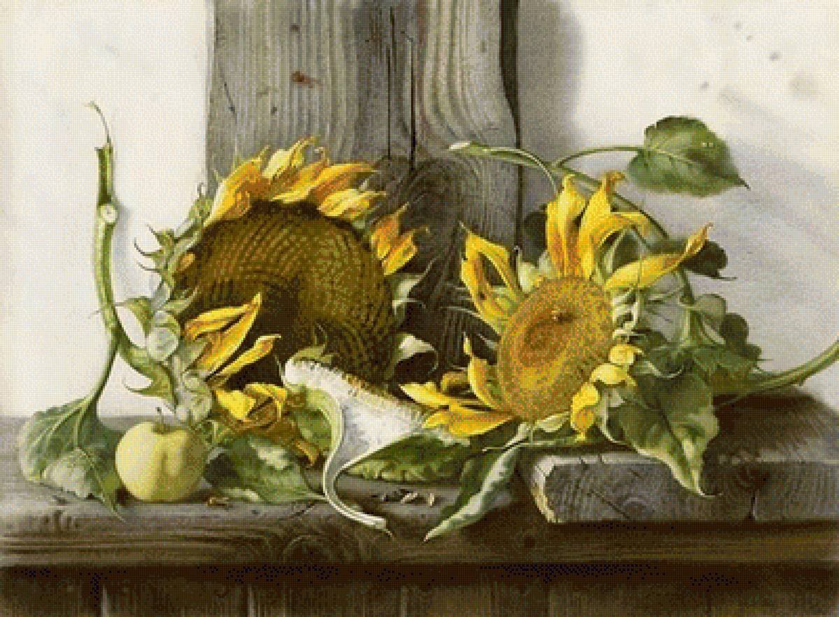 Елена Базанова акварель Подсолнухи