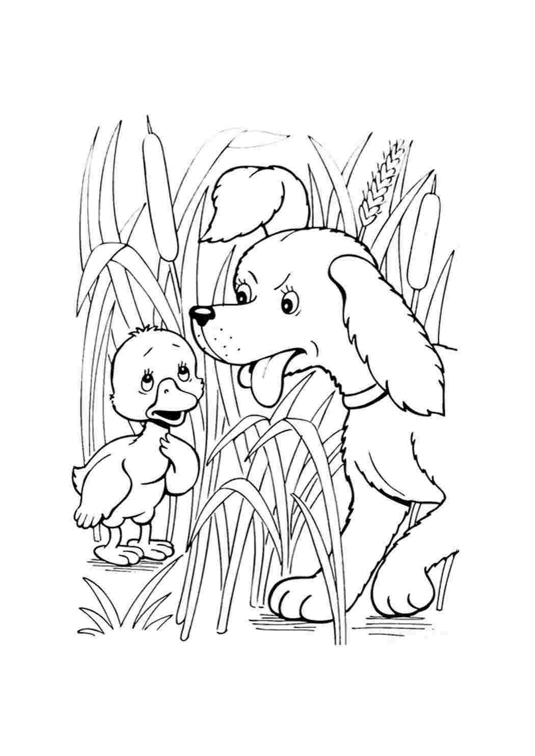 Андерсен Гадкий утенок раскраска