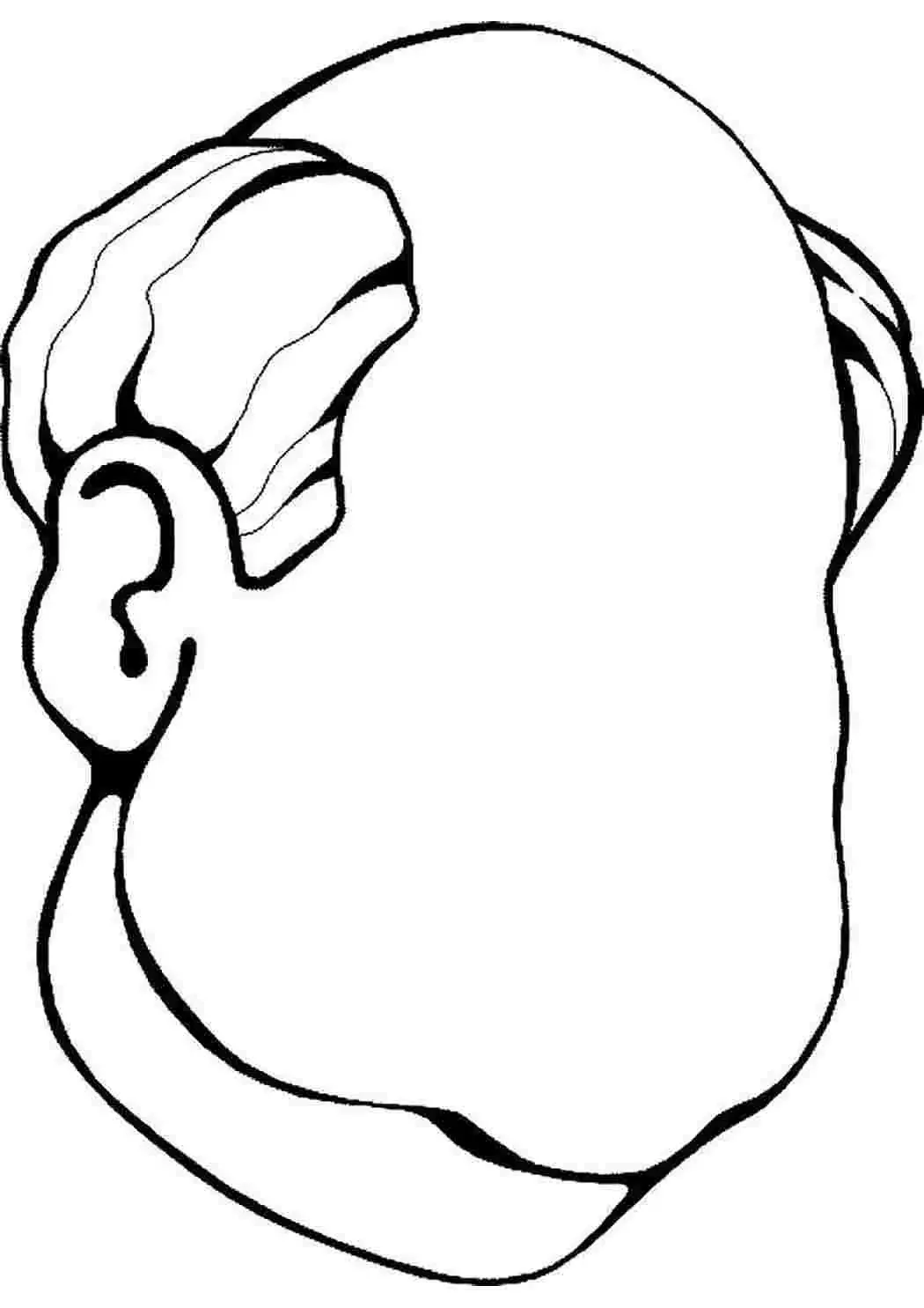 Овалы лица для рисования для детей