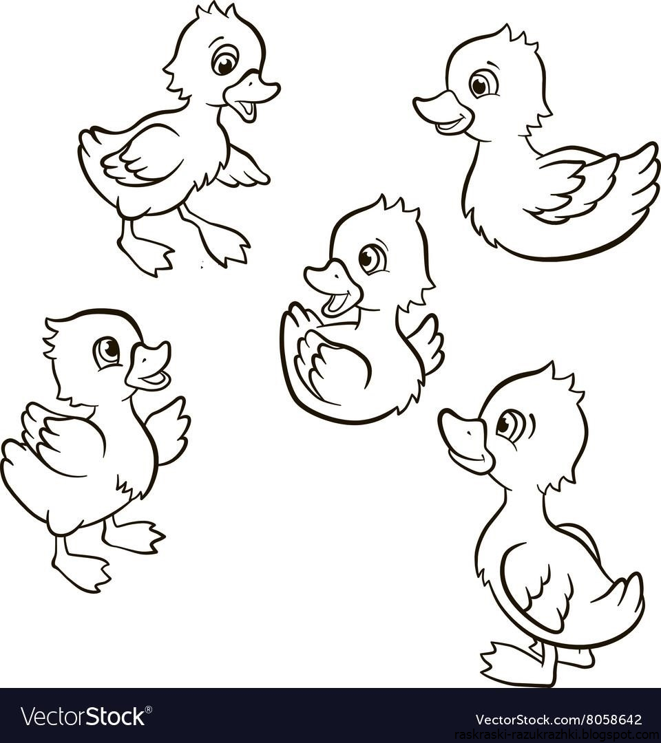 Гадкий утёнок раскраска для малышей