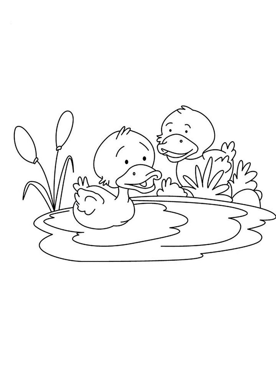 Утенок раскраска