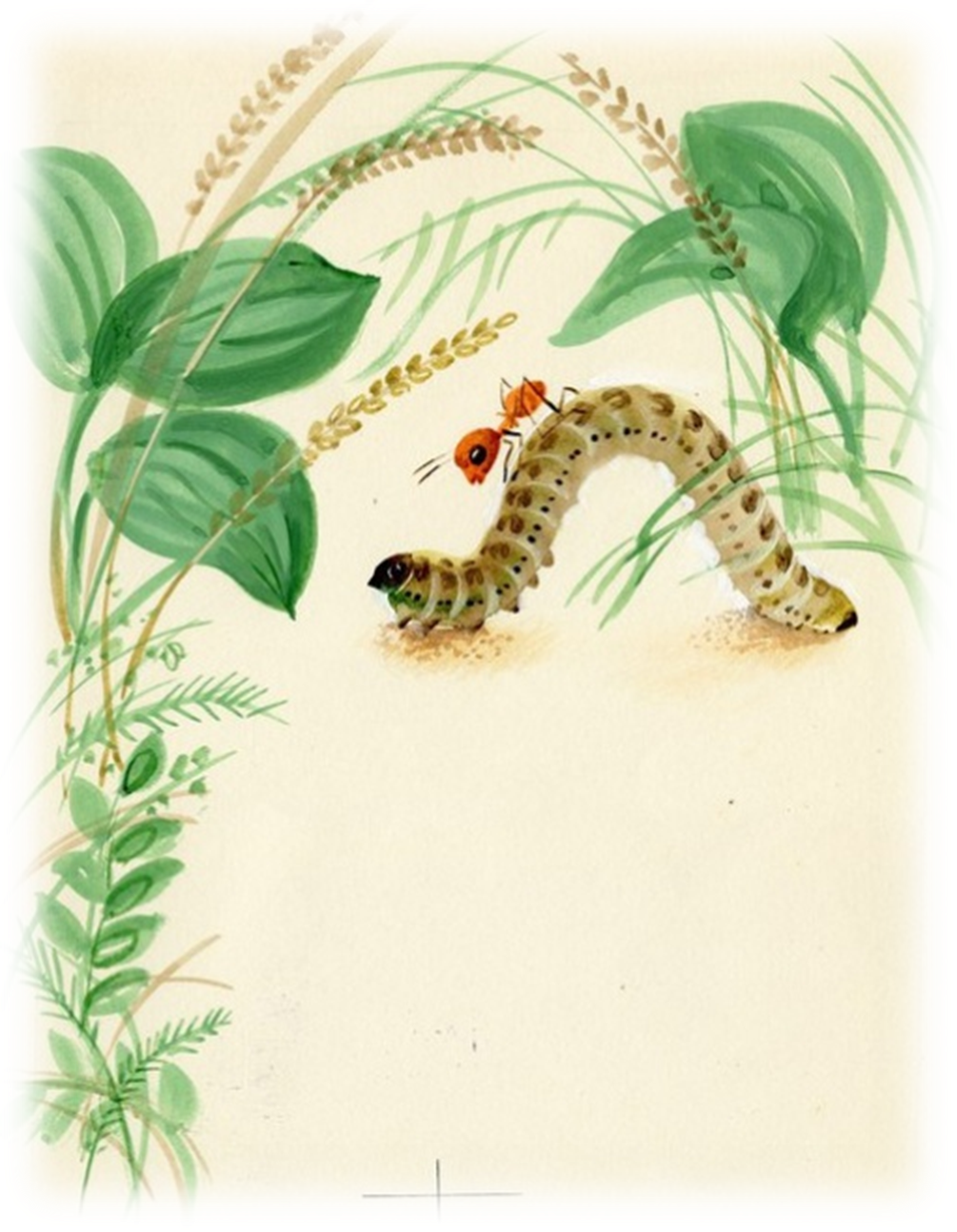 Первая охота презентация