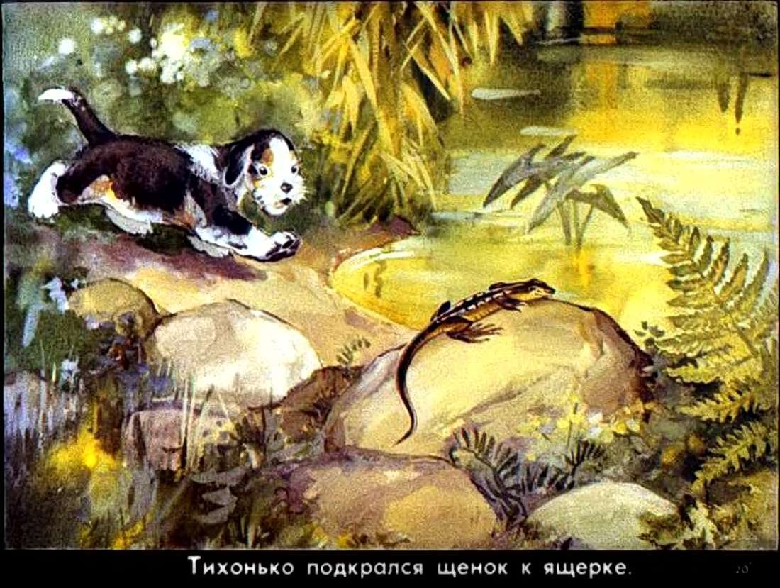 Удод первая охота Бианки