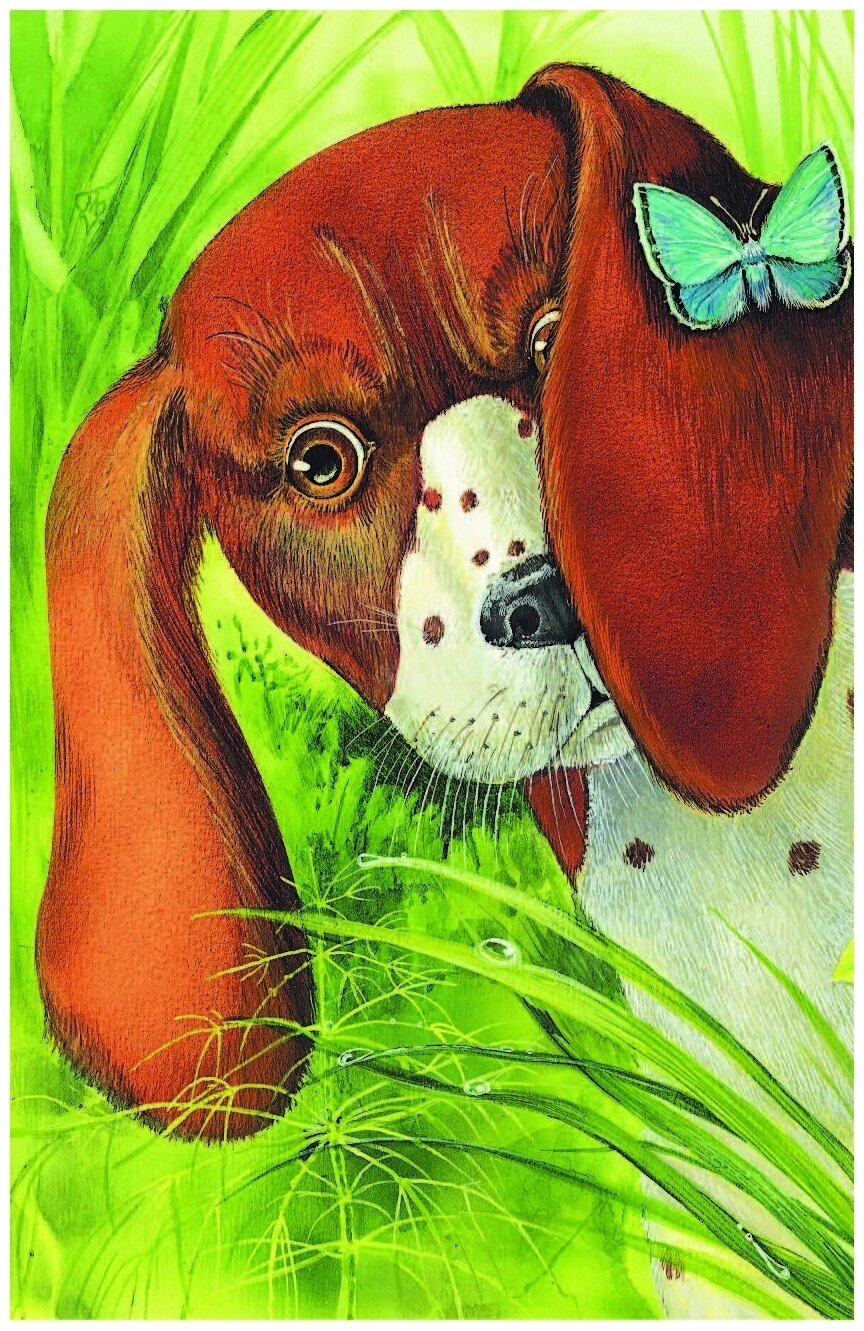 Первая охота презентация