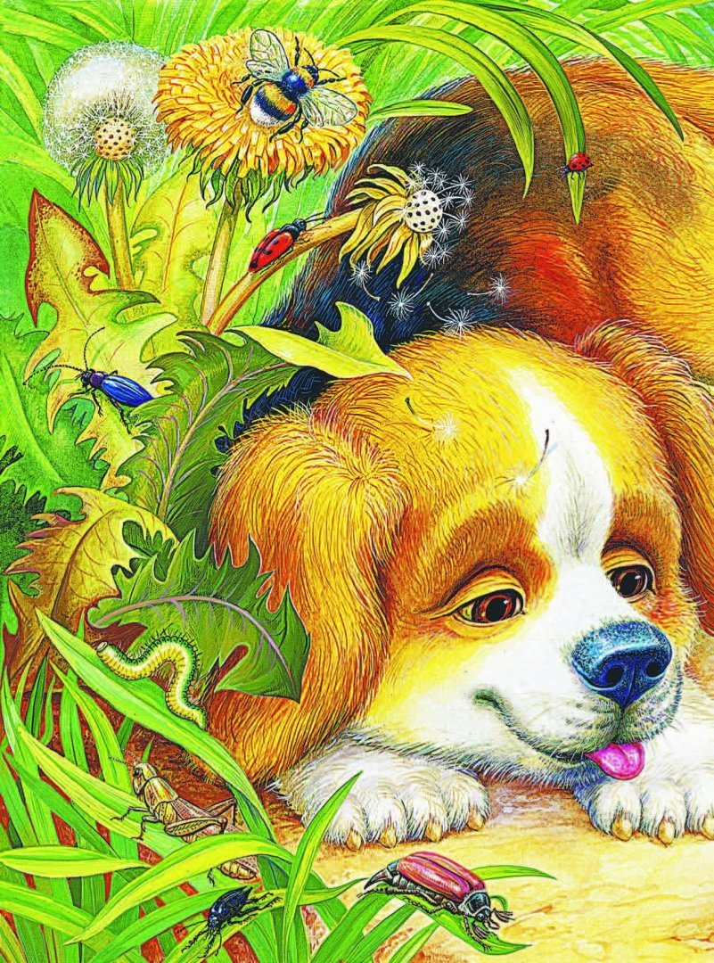 Сказка первая охота Бианки