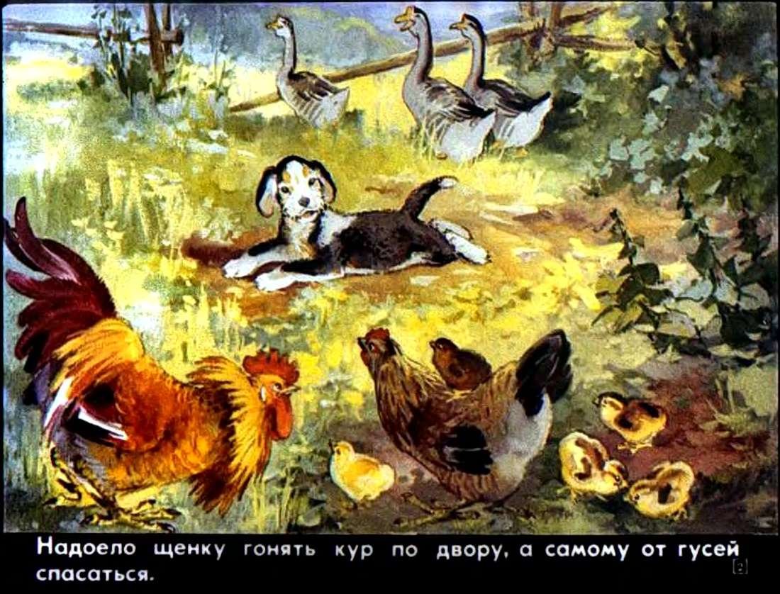 Виталий Бианки Снежная книга