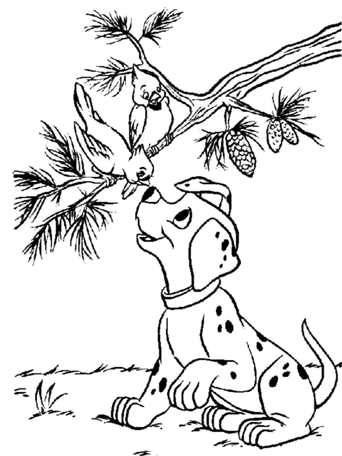 Бианки репортаж со стадиона Жукамо