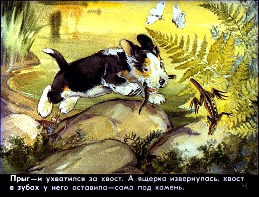 Книга первая охота Бианки