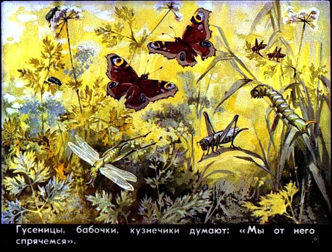 Виталий Бианки Теремок