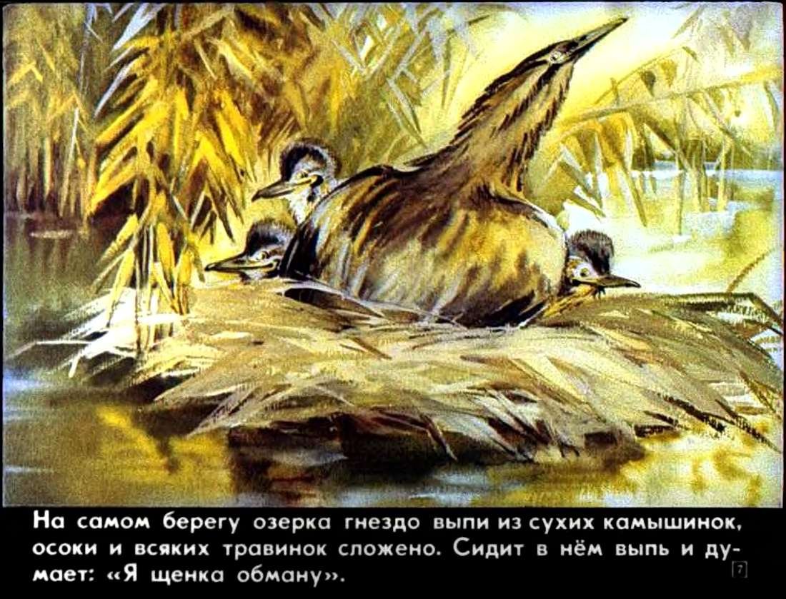 Художник Roberto Bianchi