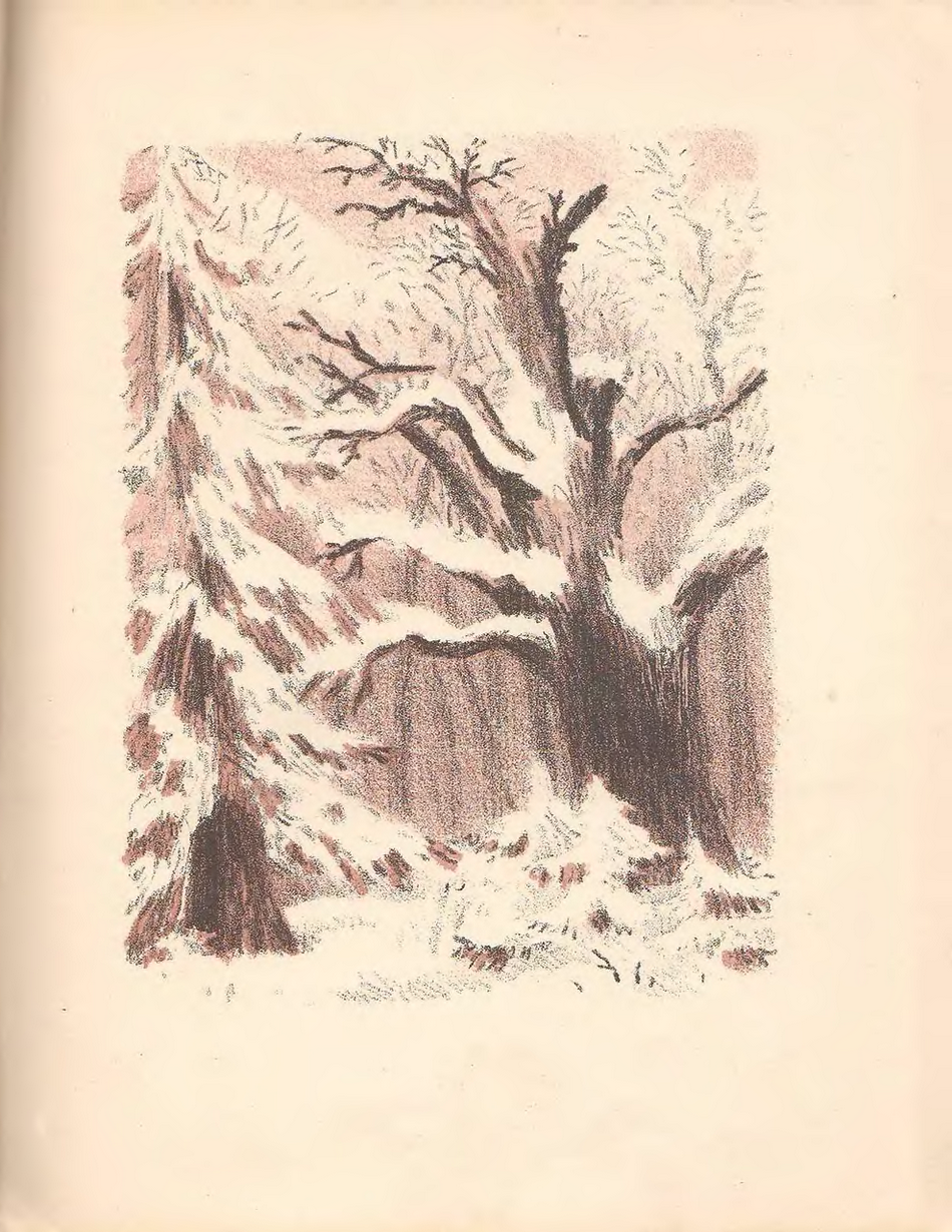 Сказка о рыбаке и рыбке иллюстрации Конашевича