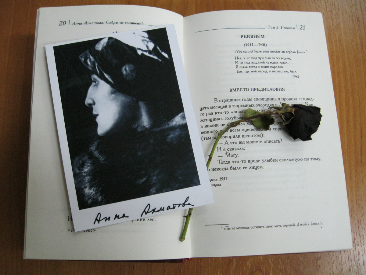Реквием Анна Ахматова книга