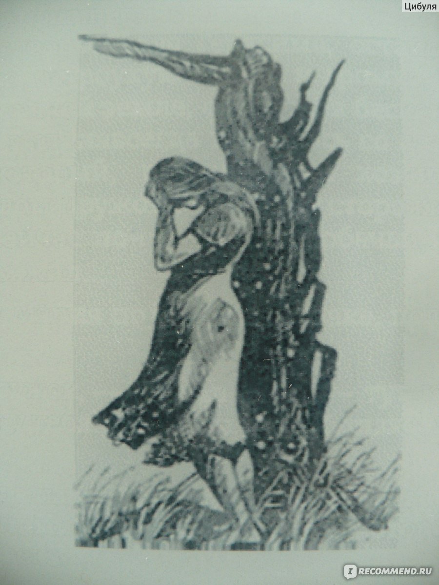 Виталий Закруткин Матерь человеческая,костры детства,подсолнух