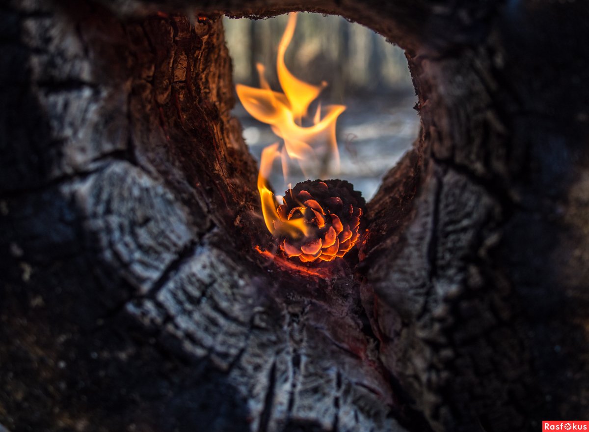 Бажов сказки Огневушка поскакушка