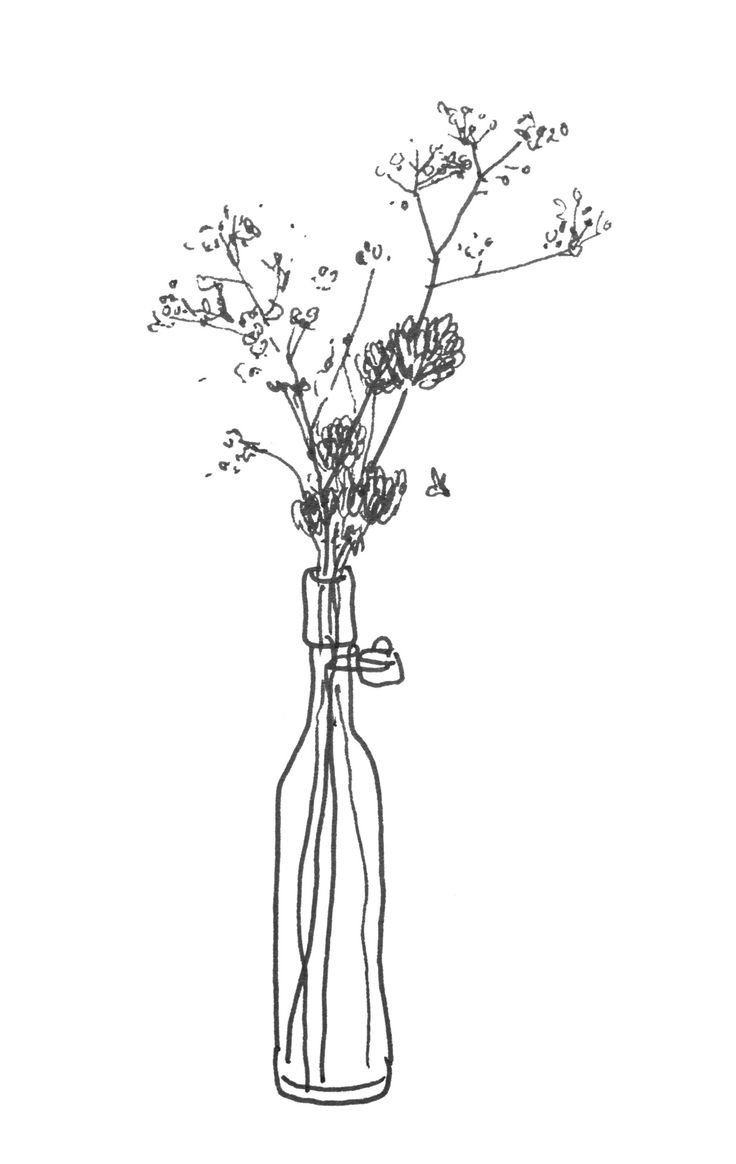 Орнамент с цикорием