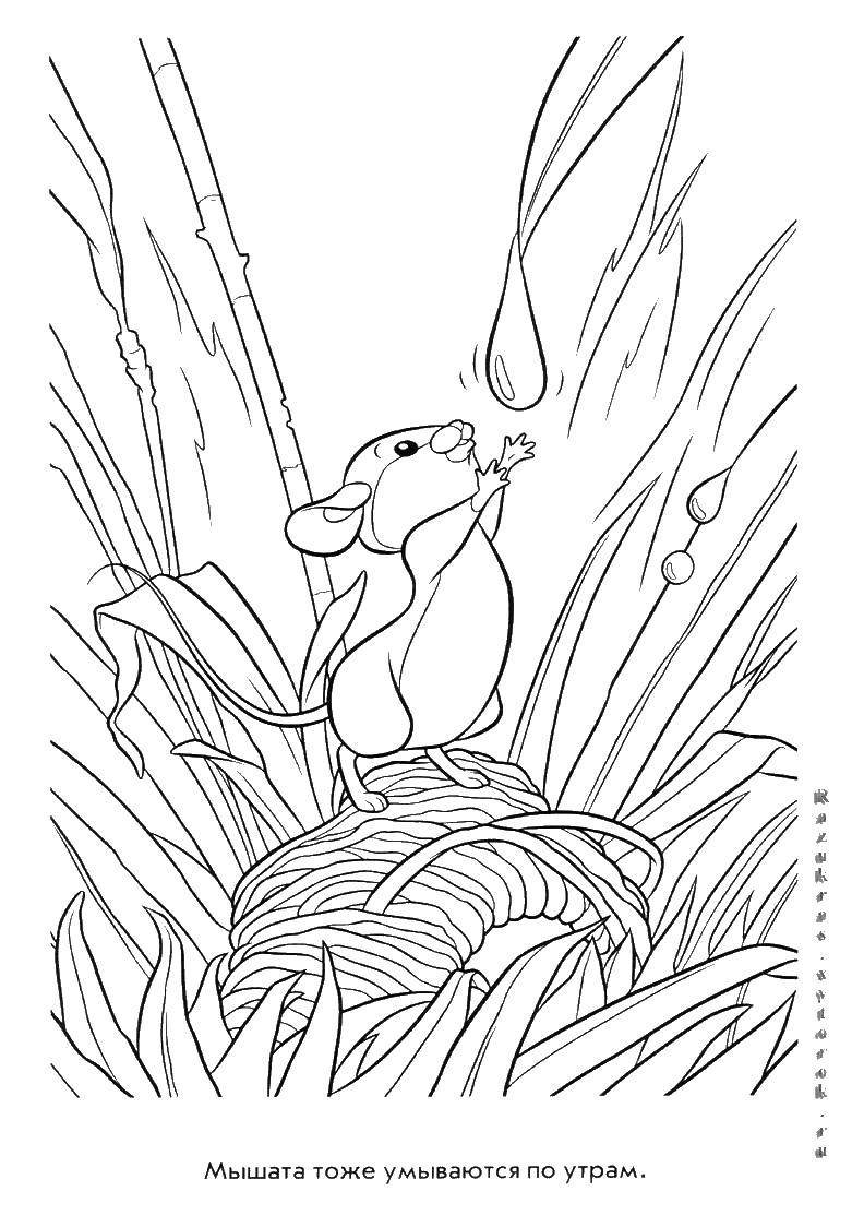 Раскраски по произведениям Бианки для детей