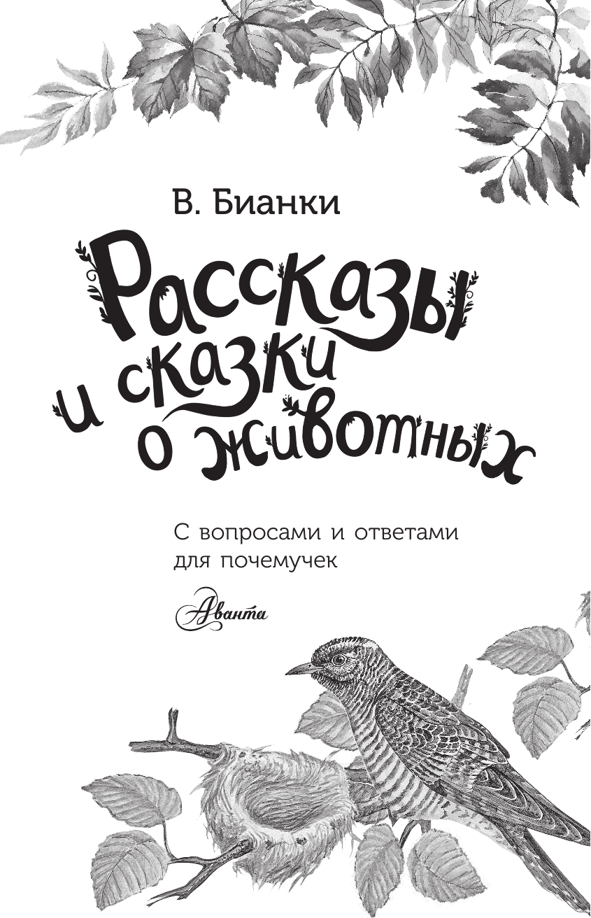 Чарушин Волчишко иллюстрации
