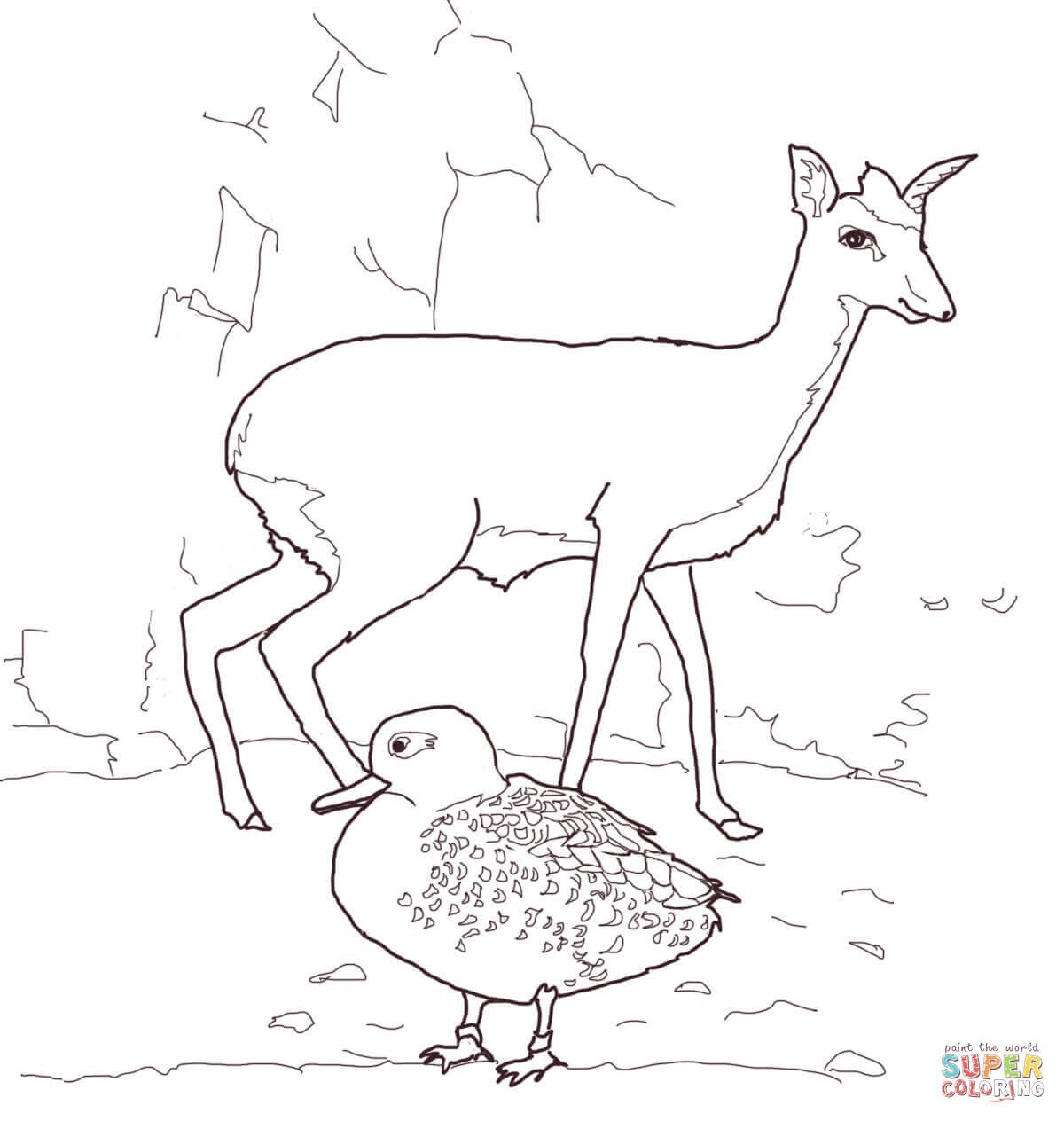 Антилопа раскраска