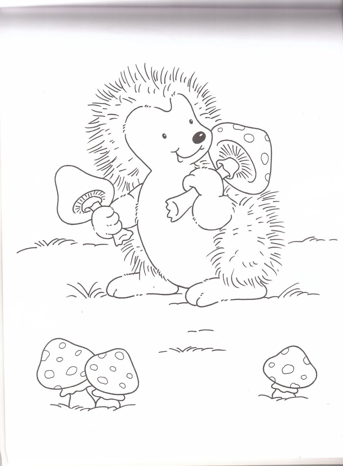 Семья ежиков раскраска