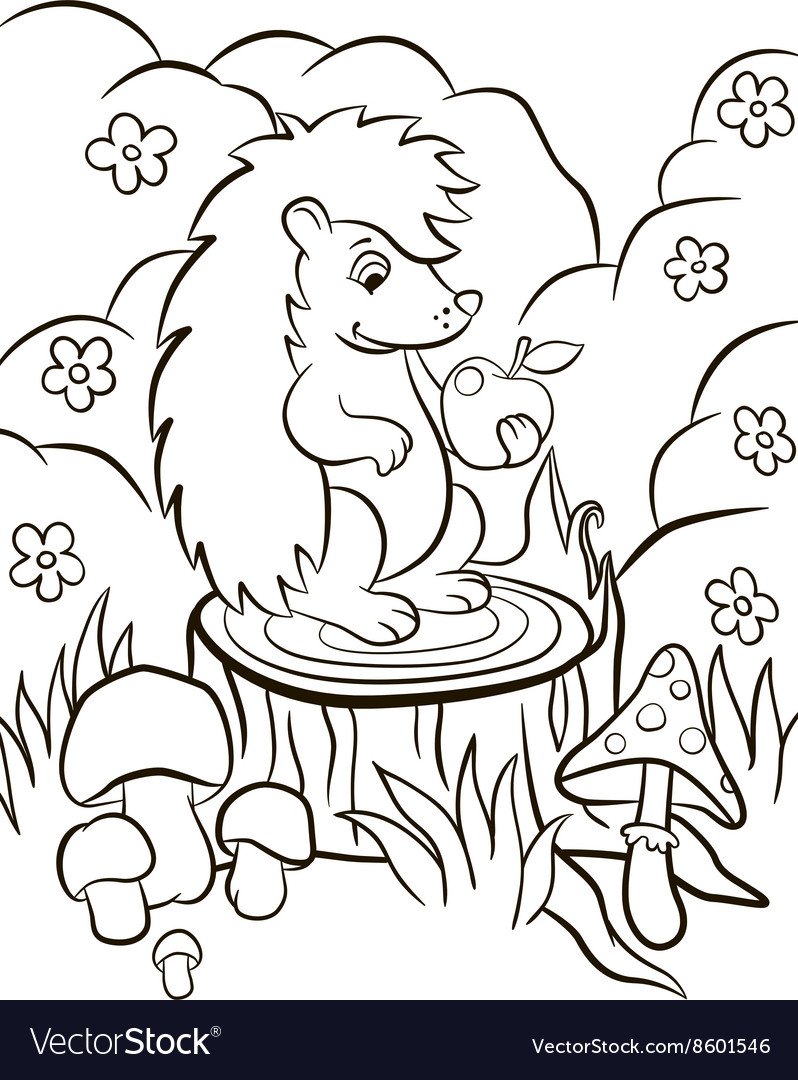 Ежик в лесу раскраска для детей