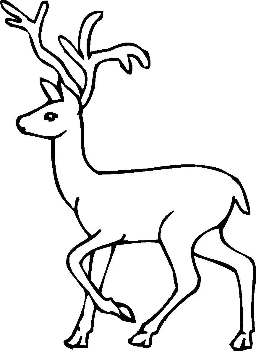 Олень раскраска