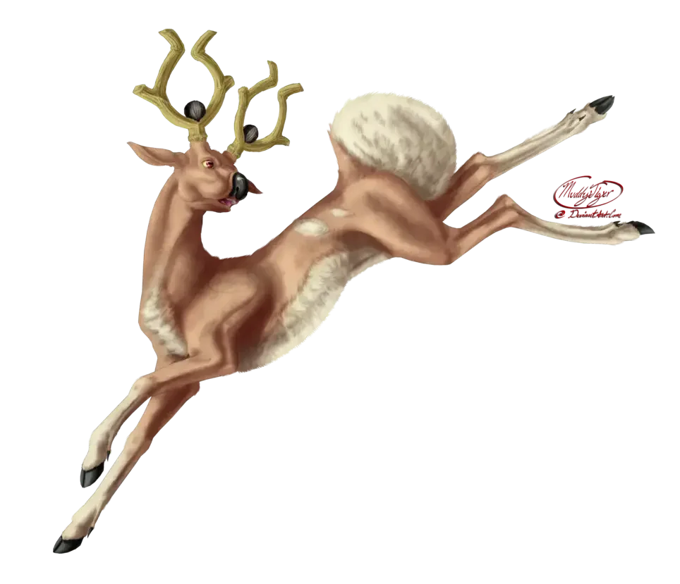 Хвост оленя рисунок