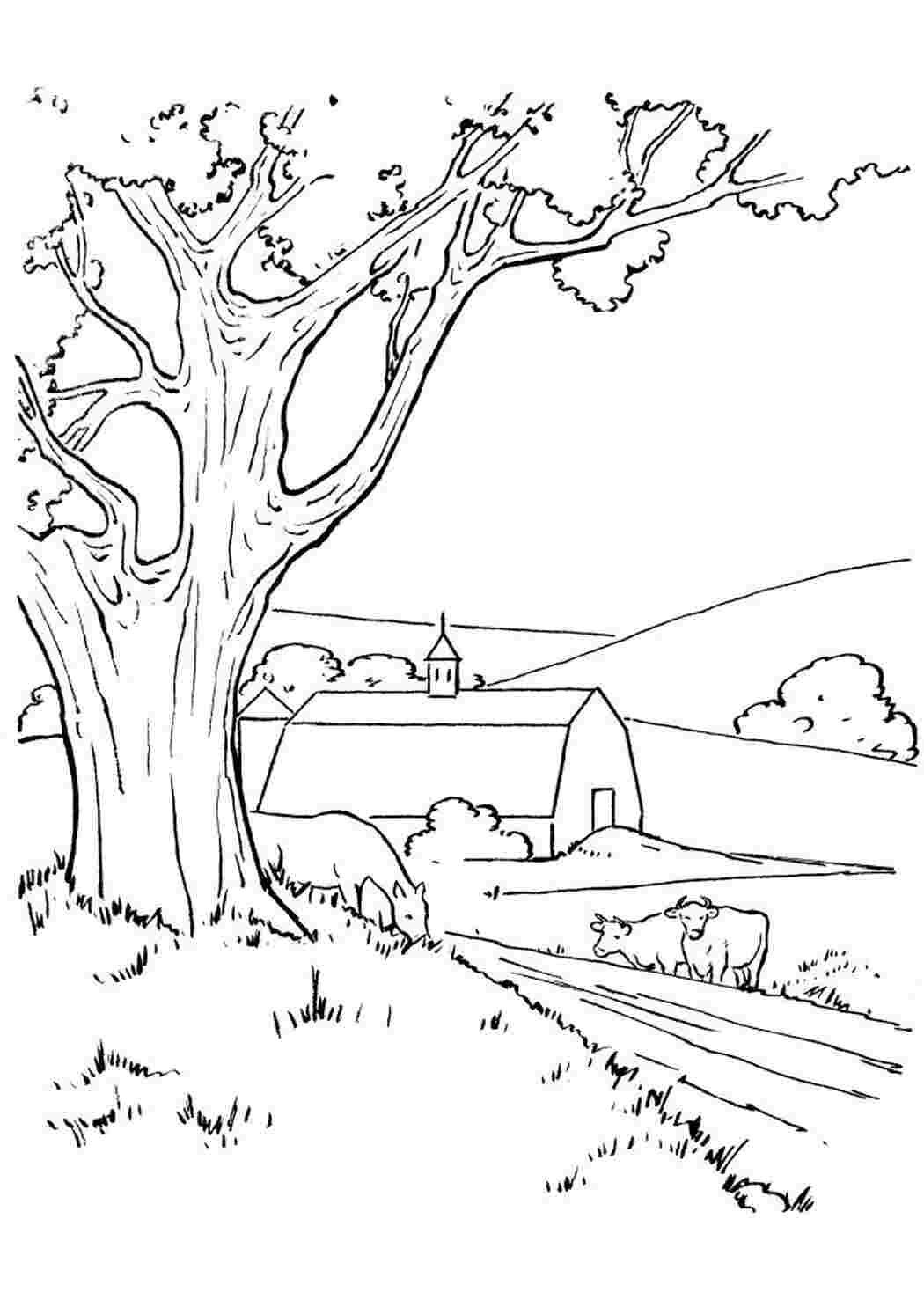 Осенний пейзаж раскраска