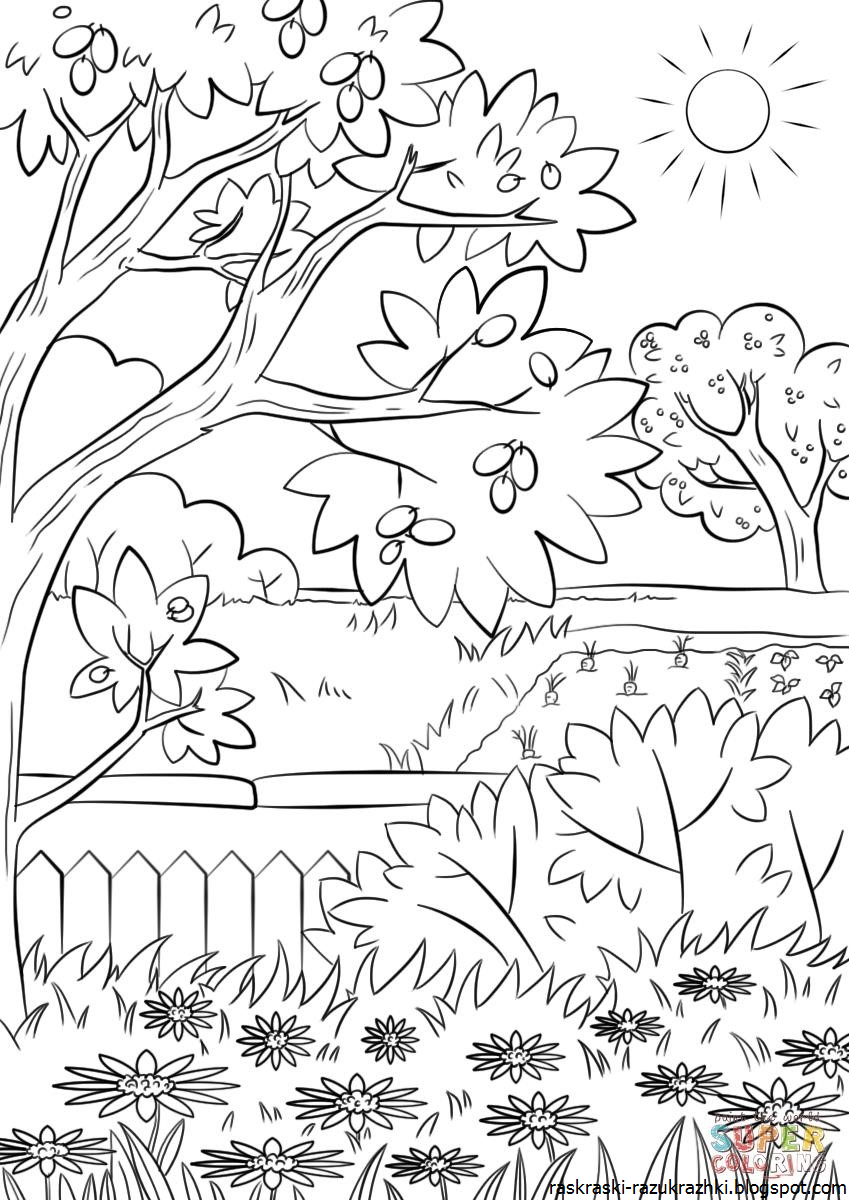 Раскраска. Осень