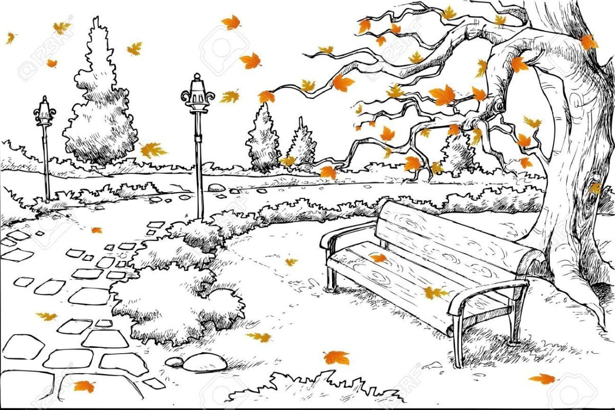 Осенний лес раскраска для детей