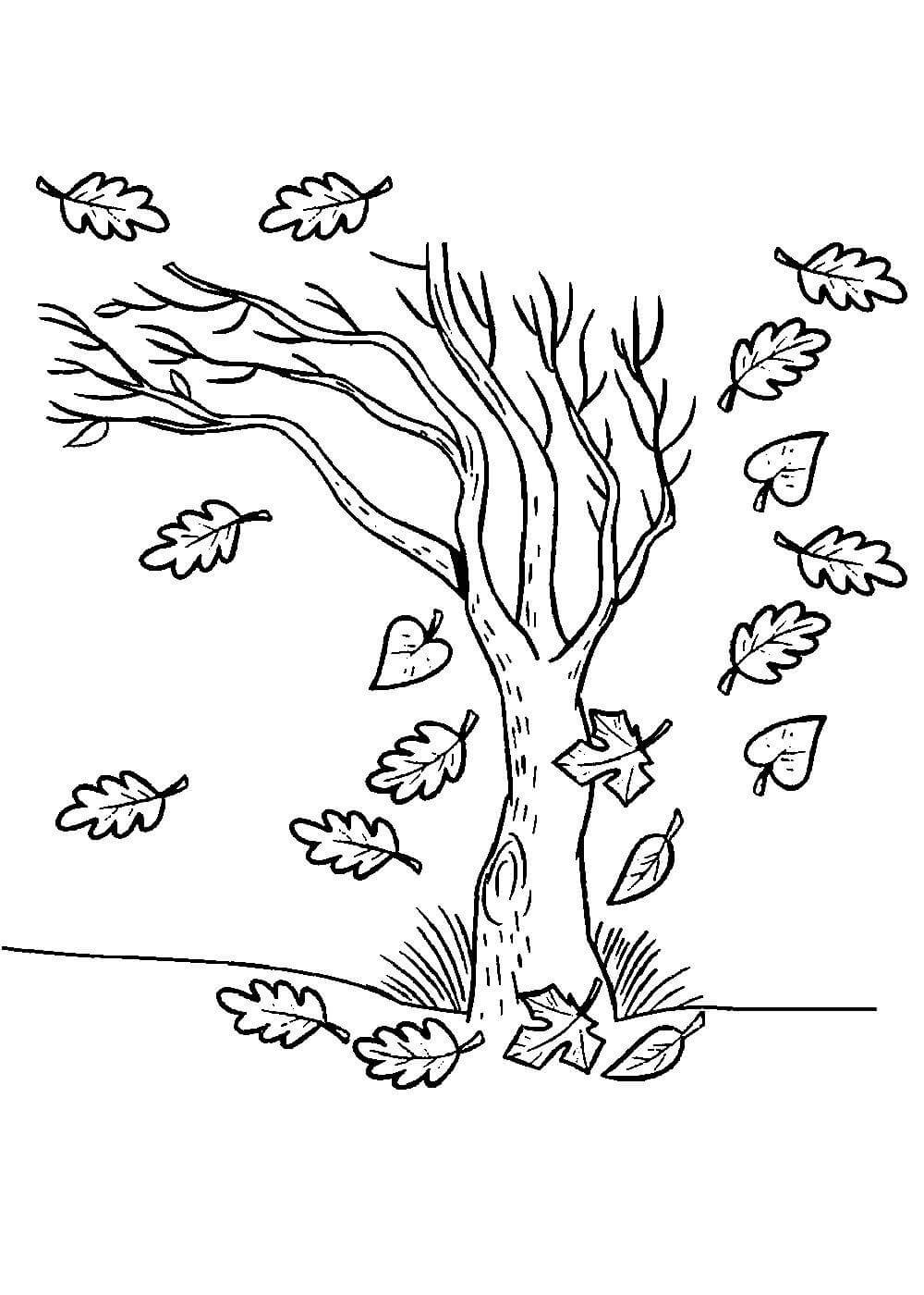 Раскраска природа