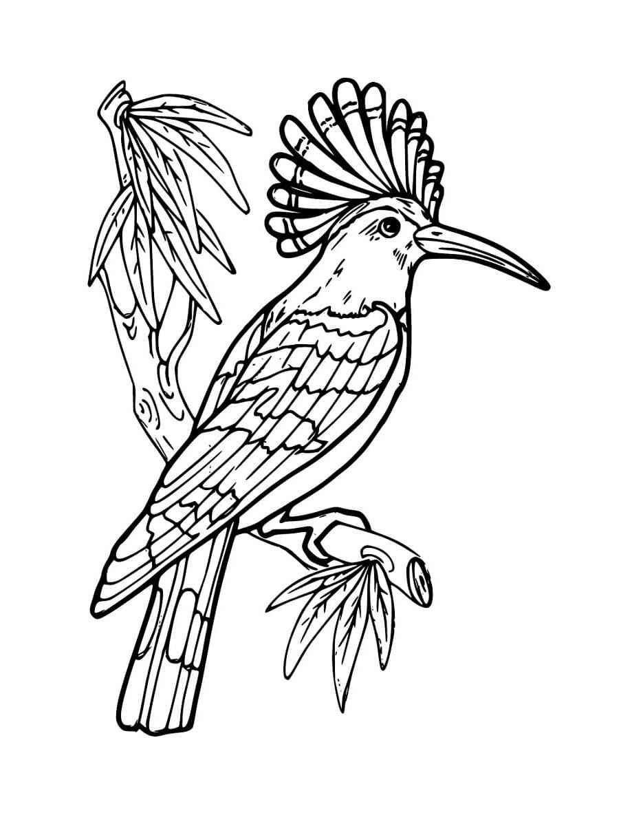 Раскраска животные зоопарка Африки