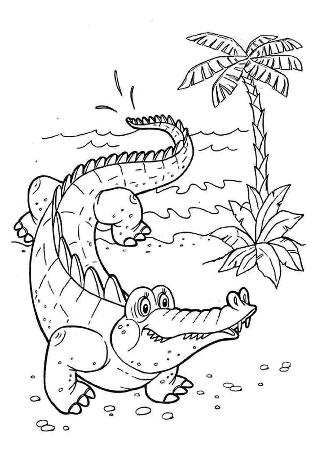 Тукан раскраска для детей