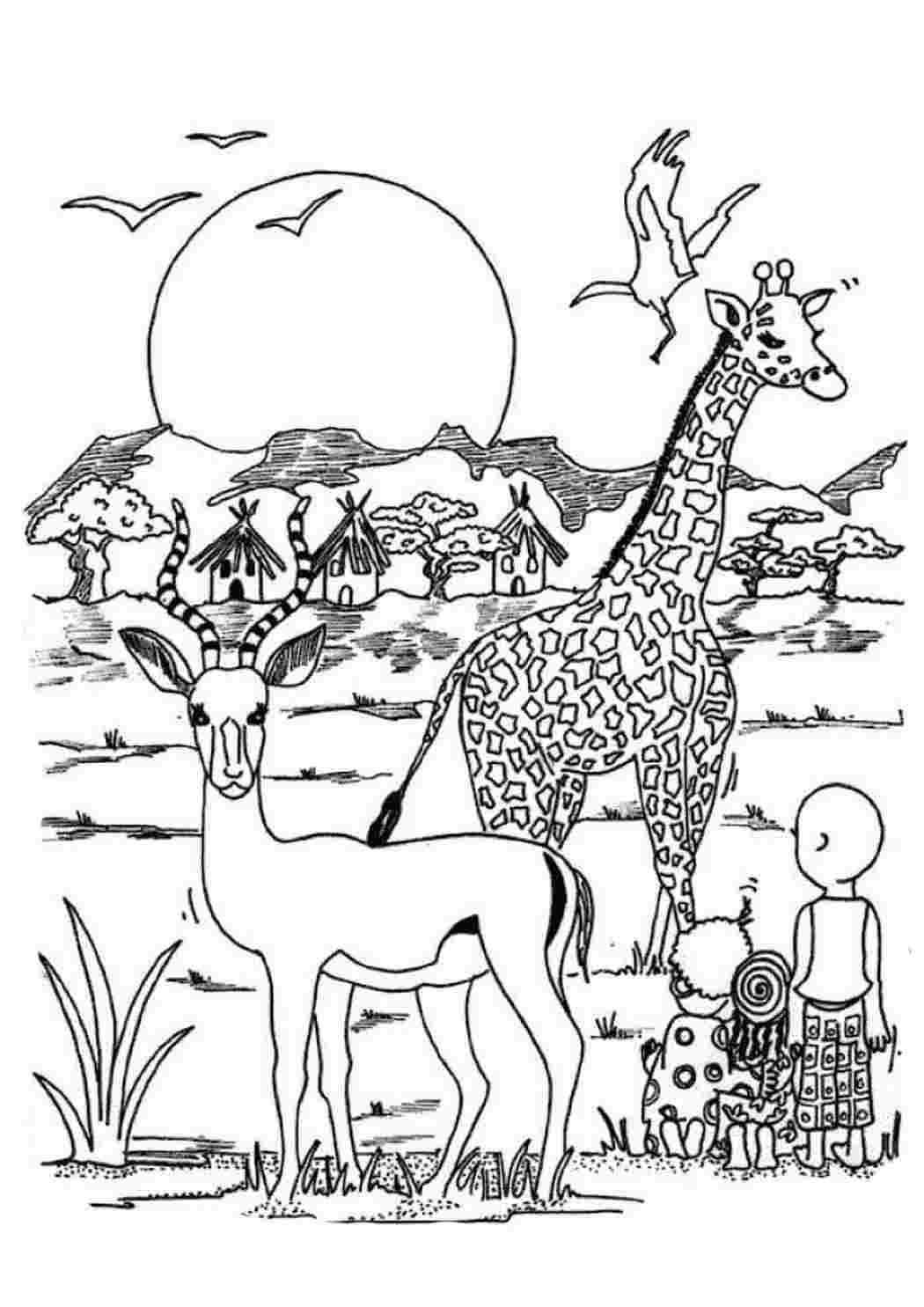 Раскраска попугай Тукан