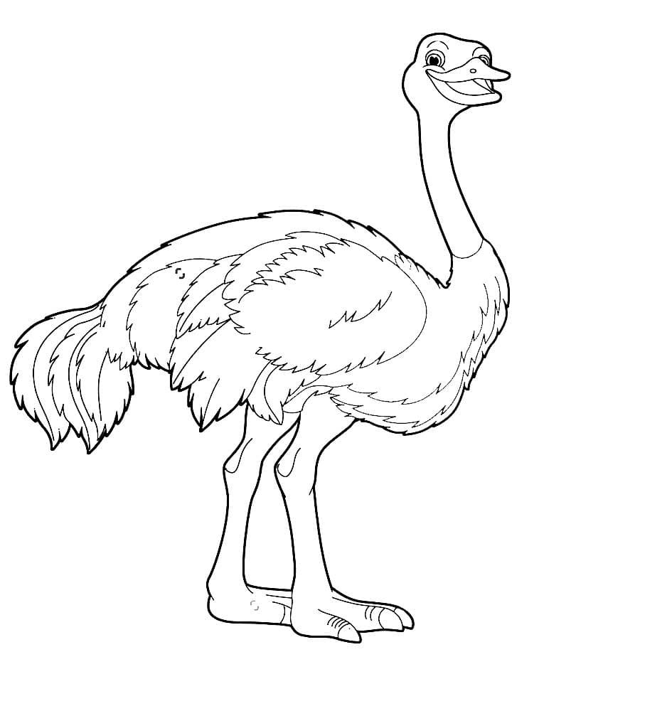 Тукан раскраска