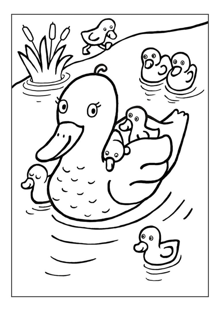 Раскраска мама и малыш животные