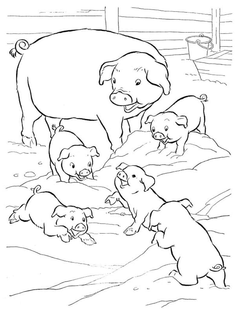 Раскраска корова с теленком