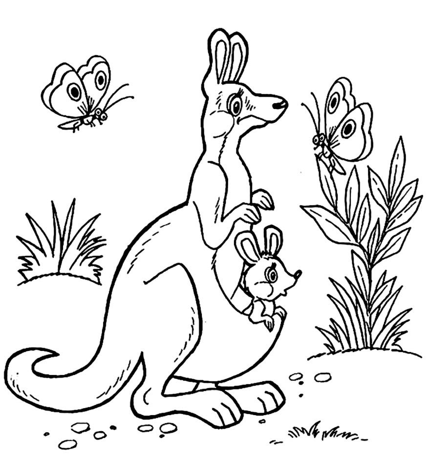 Раскраска животное