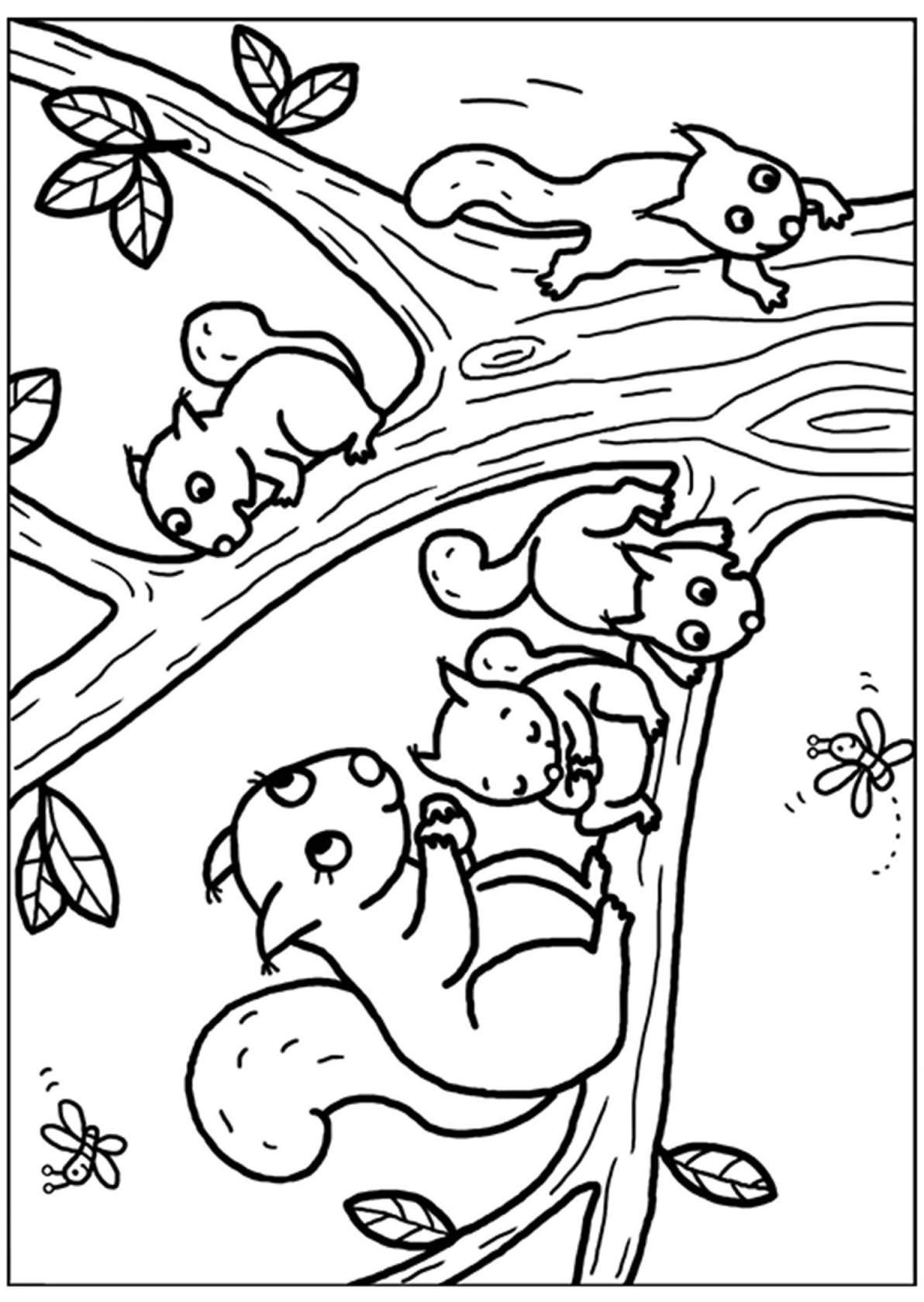 Раскраски животных и зверей